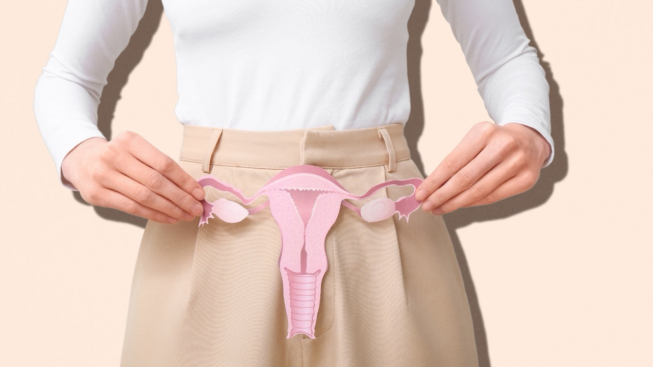 Eisprungrechner – Berechne Deine fruchtbaren Tage mit BabyFORTE