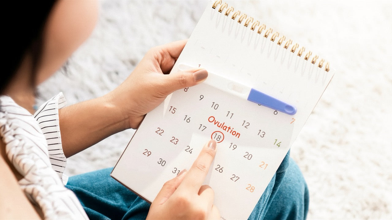 Unregelmäßiger Zyklus & Kinderwunsch: So kannst du trotzdem schwanger werden