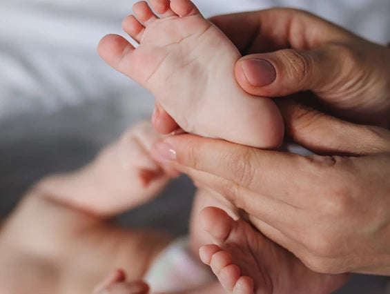 12 Tipps + 2 Bonus Tippsals praktischer Download