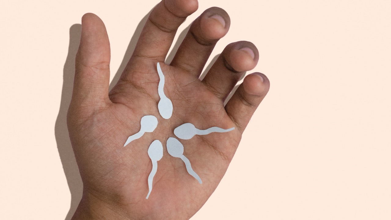 8 Tipps, um Deine Spermienqualität natürlich zu verbessern