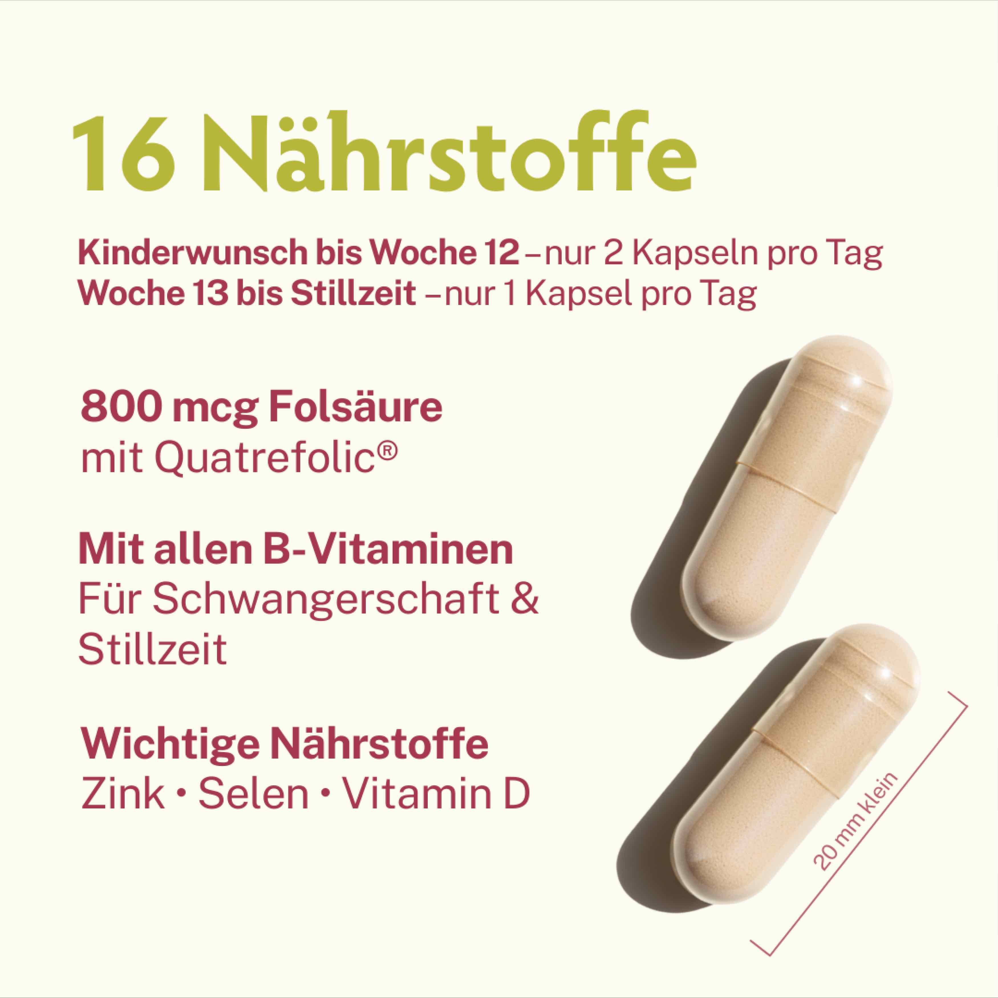 BabyFORTE Folsäure Plus, 16 Nährstoffe, Folsäure, alle B-Vitamine