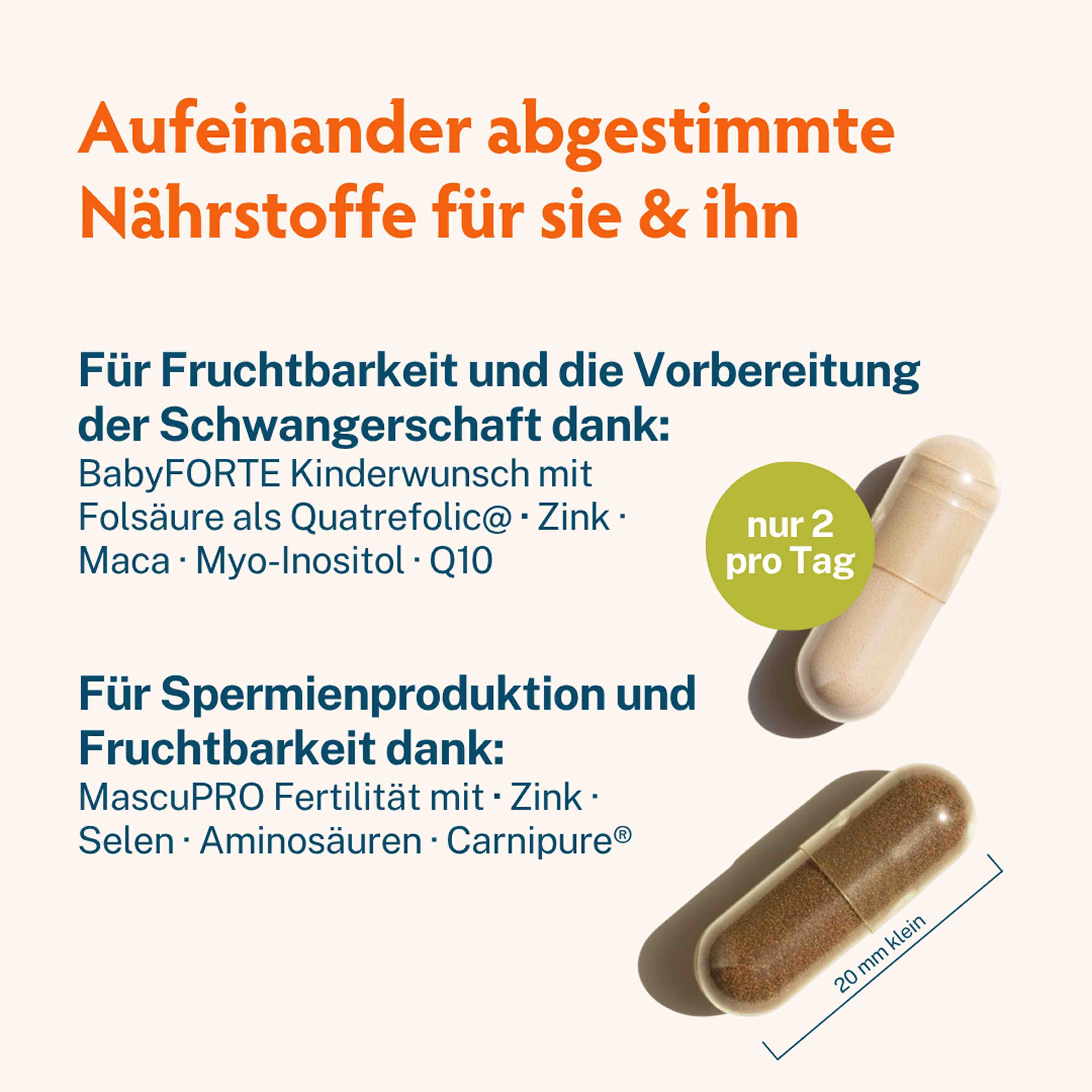 Kinderwunsch-Duo ohne Jod • für sie & ihn • je 60 Kapseln