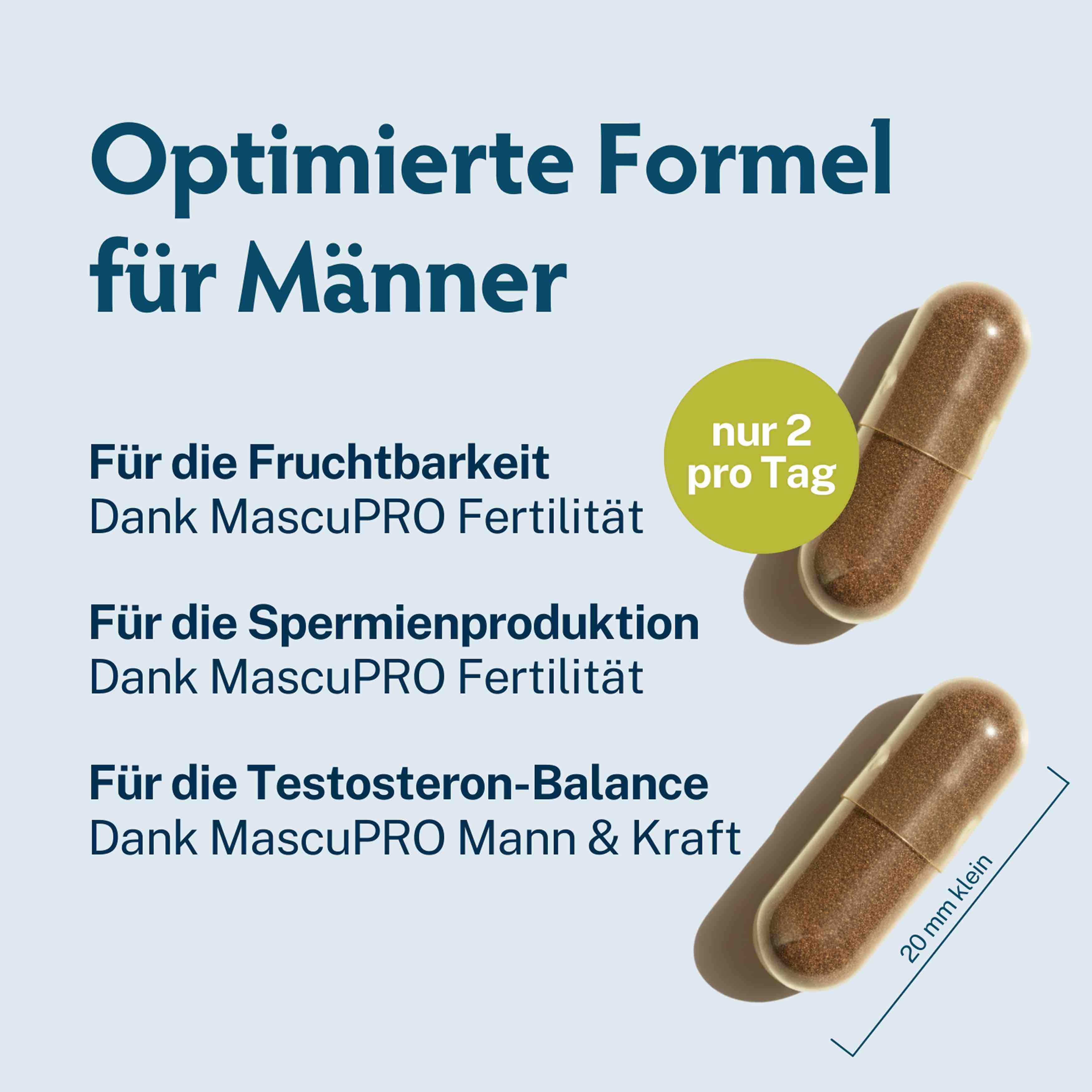 Löwenkraft XL • für Fruchtbarkeit & Testosteron-Balance • je 180 Kapseln
