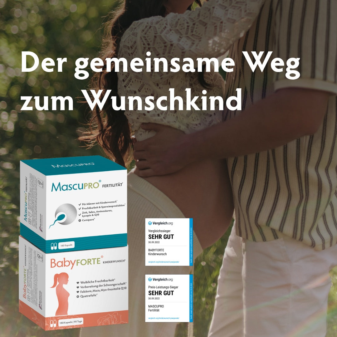 So funktionierts